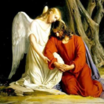 1000000820.webp