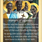 1000001513.webp