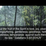1000001674.webp