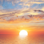 1000001742.webp