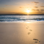 1000001744-2.webp