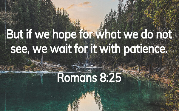 Twenty Five Quotes from the Saints about Patience