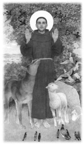 St. Francis