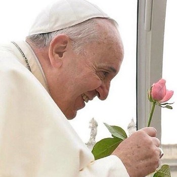 Pope Francis Face Book Image