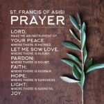 596f4d6340c9ad64677c2387a62ac366--saint-francis-prayer-of-st-francis-of-assisi