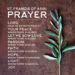 596f4d6340c9ad64677c2387a62ac366-saint-francis-prayer-of-st-francis-of-assisi.webp