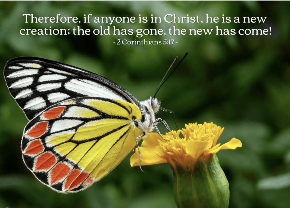 950-in-christ