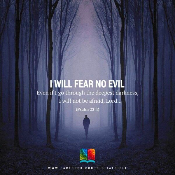 Fear-no-evil-2.webp