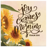Joy-2.webp