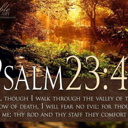 Praying with Psalm 23  Trust in God