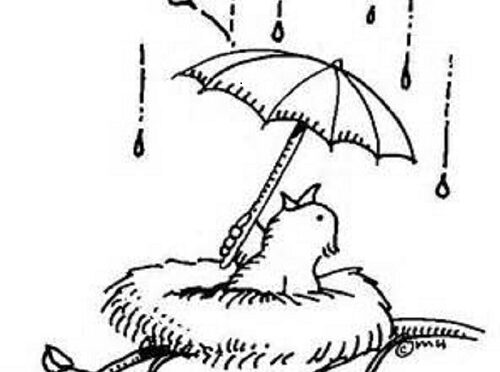 The Suffering Pilgrim; Short Reflections During Times of Grief