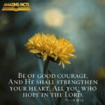 a25dcf2eeaa9f0d2f3e684943ae4a770 courage
