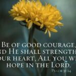 a25dcf2eeaa9f0d2f3e684943ae4a770 courage