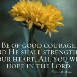 a25dcf2eeaa9f0d2f3e684943ae4a770 courage