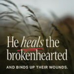 brokenhearted salm 147