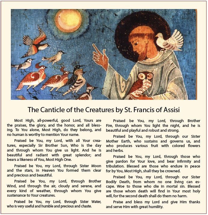 canticle of the creatures