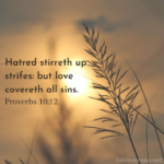 hatred-stirs-up-strife.webp