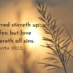 hatred stirs up strife