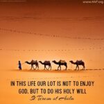 holy will