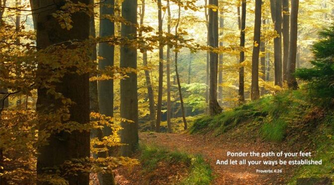 Twenty Five Quotes about Prayer from the Saints