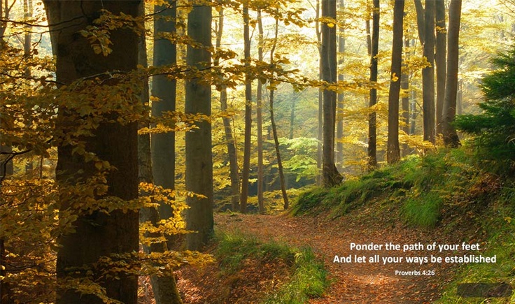 ponder