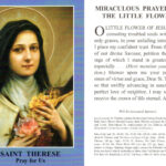 pray for us