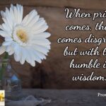 pride wisdom 3