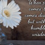 pride wisdom 3