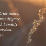 pride wisdom 4