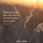 pride wisdom 4