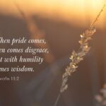 pride wisdom 4