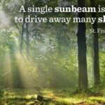 single sunbeam