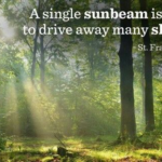 single-sunbeam-1.webp